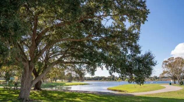 Clearwater Community Invited To Weigh In On Ed Wright Park's Future