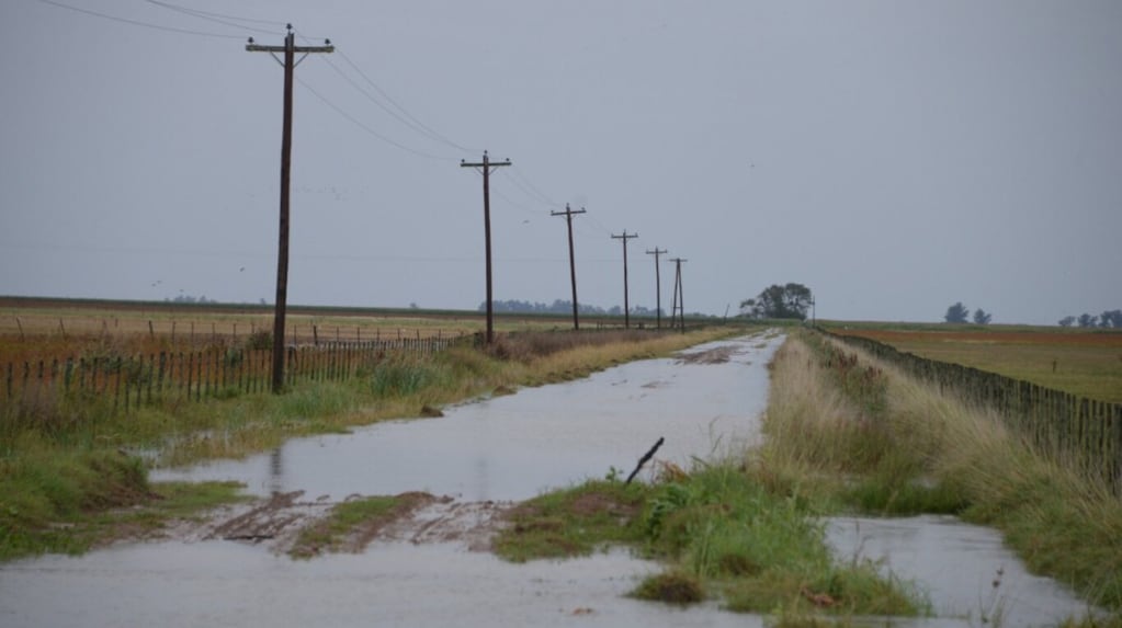 El Gobierno oficializó la emergencia agropecuaria para 12 localidades bonaerenses y la provincia de San Juan