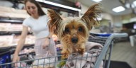 Retail sales rise 0.6% in August, helped by back