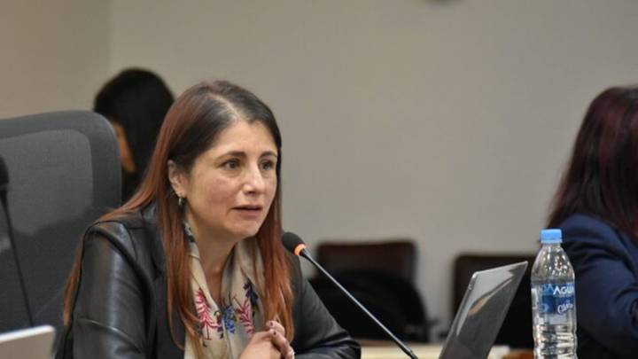 Defensoría del Pueblo pide que elección de nuevo integrante de la Corte Constitucional sea independiente
