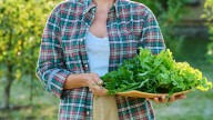 17 Best Edible Ground Cover Plants To Make Your Garden Look & Taste Amazing