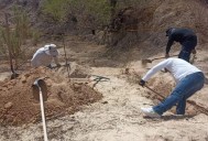 Colectivos denuncian retrasos en identificación de cuerpos en Cabo San Lucas