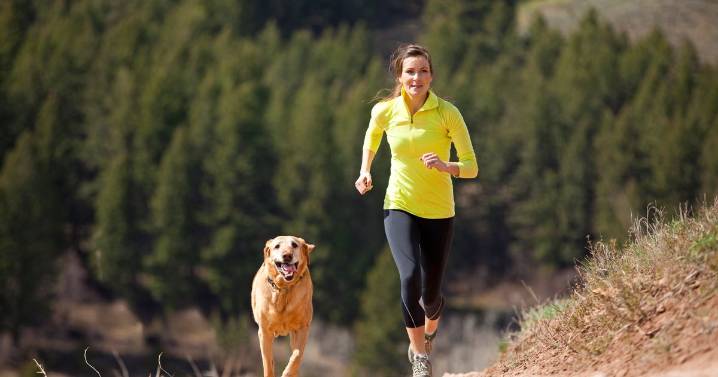 Top 10 most energetic dog breeds to help keep you in shape
