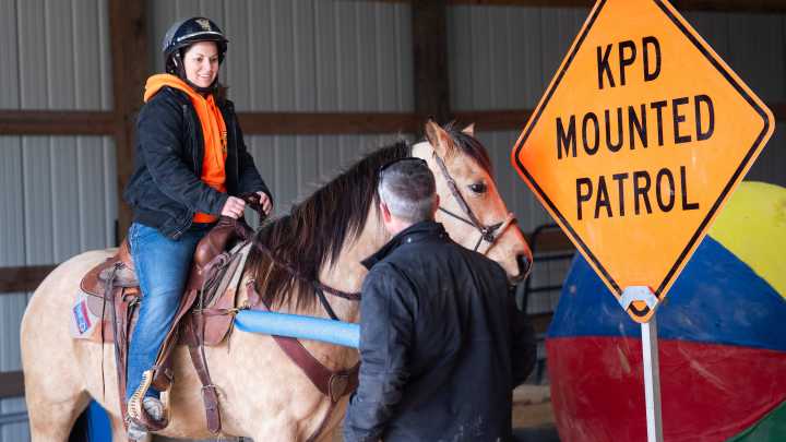 Knoxville police adds new patrol horses, each with a famous local name