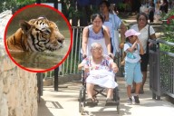 Zoológicos de Mérida se convierten en el principal atractivo de la ciudad durante el día de asueto