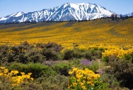 Here’s your guide to the ultimate Highway 395 road trip