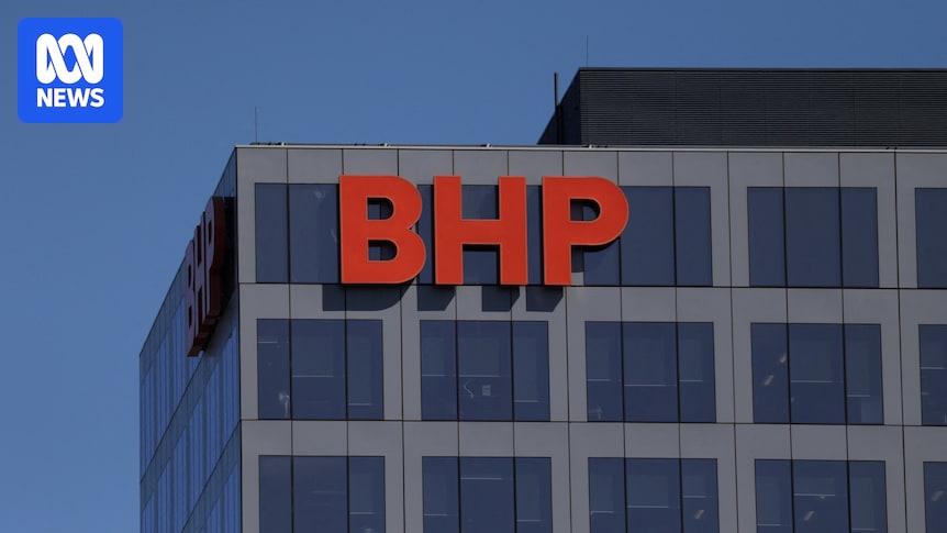 China bans all BHP iron ore cargoes as pricing dispute escalates