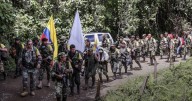 Excombatientes de las FARC construyen empresas, viviendas y futuro en medio de la violencia