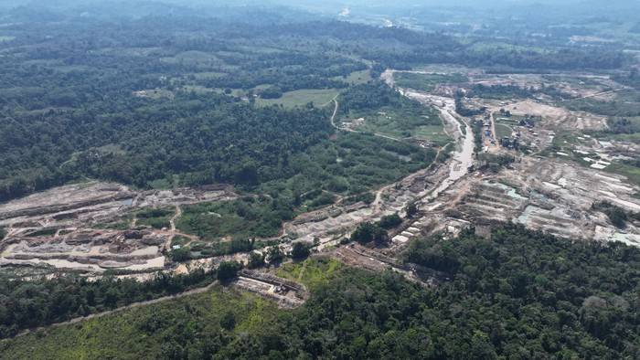 Perú: la minería ilegal acecha el área de conservación Panguana, símbolo de la supervivencia en la Amazonía