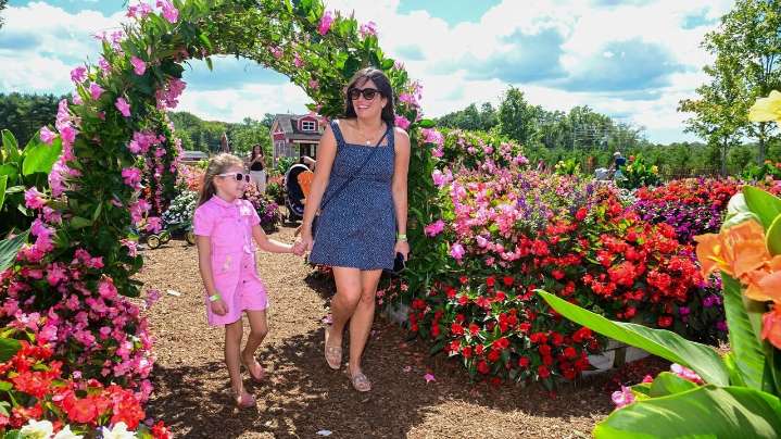 Long Island farm fall festivals add new activities with beloved attractions