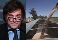 Presupuesto 2026. Cautela en el agro por el cálculo de mayor recaudación por retenciones que espera el Gobierno