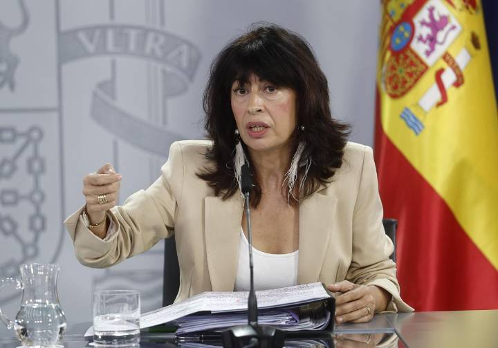 Las claves de la futura norma de violencia vicaria