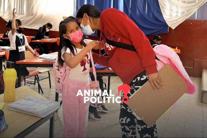 ‘Escuela de las mariposas’, iniciativa busca la inclusión educativa de niños en situación de calle