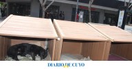 Callejeritos VIP: instalaron cuchas de madera en plena peatonal céntrica para tres perros vagabundos