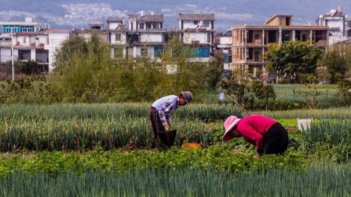 China, el mayor generador de gases de efecto invernadero del mundo, anuncia meta climática con menos emisiones