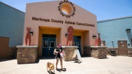 Arrest made after threats to Maricopa County's animal shelter