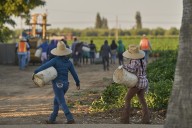 1.2M immigrants are gone from the US labor force under Trump, preliminary data shows