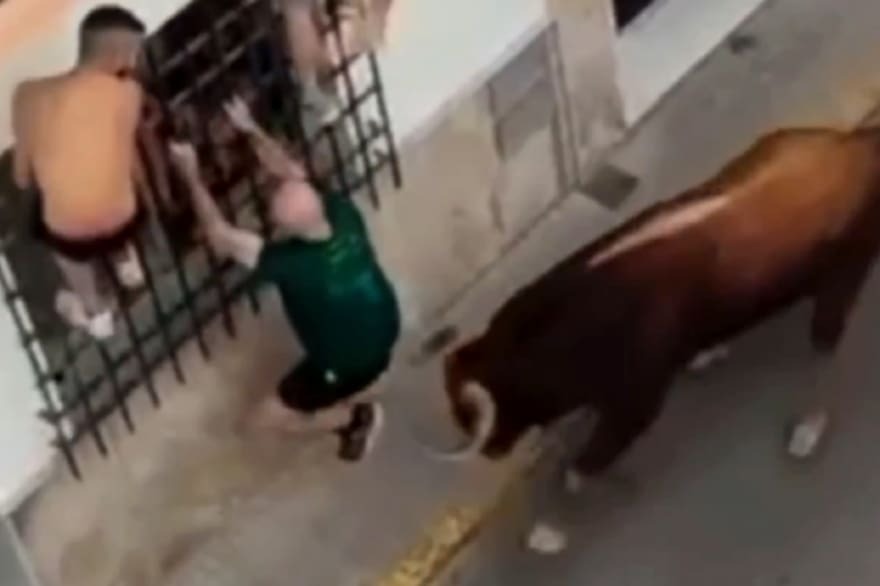 Tragedia en la fiesta: un hombre pierde la vida tras ser embestido por un toro en plena celebración