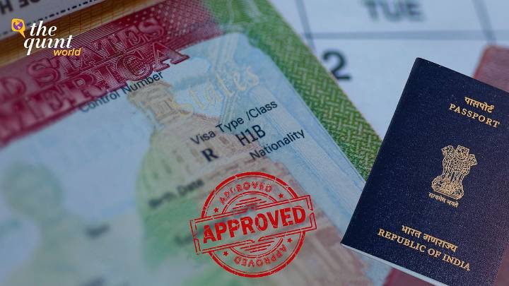 'H-1B Rules Designed To...': Indian Workers, Employers On Trump's Visa Fee Hike