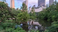 Economía y ecología. Por Alexandra Farbiarz Mas