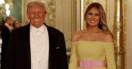Donald Trump blanks Prince Harry as he praises 'wonderful son' William