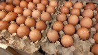 Salmonella outbreak linked to eggs sickens 95 people, CDC says
