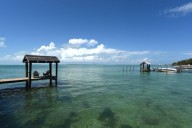 Shark bites boy in Florida Keys