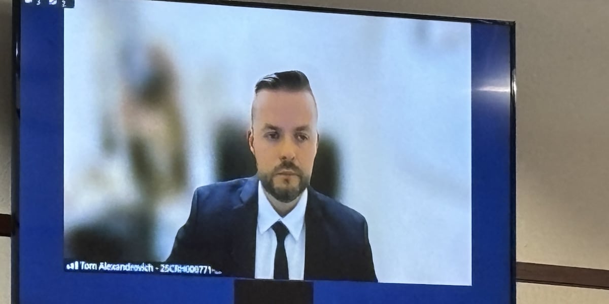 Israeli man appears in court virtually for charges in Las Vegas Valley sex sting