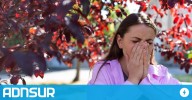 Primavera 2025: cuáles son las alergias más comunes y cómo prevenirlas