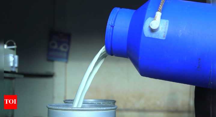 How to know if the milk is adulterated: 3 simple home tests