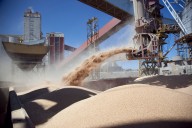 Las exportaciones del agro ya completaron el 60% del cupo para retenciones cero