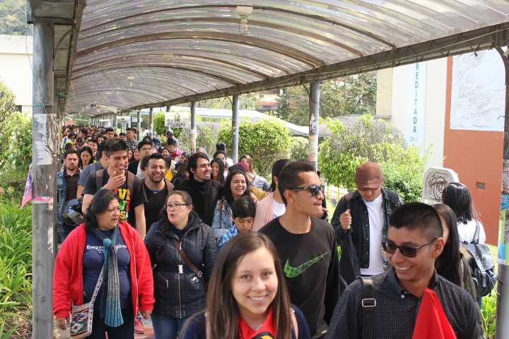 Proceso de convocatoria y elección de los representantes de docentes y...