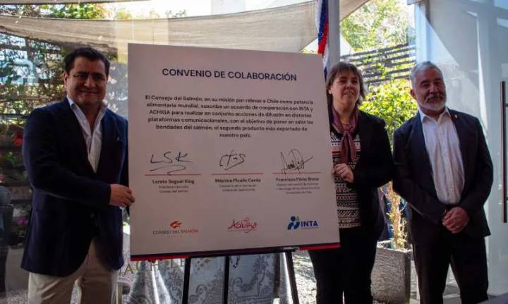 En el mes de la patria, Consejo del Salmón celebra acuerdo de colaboración con INTA y Achiga para potenciar el valor del salmón chileno