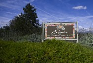 Discover ‘Things That Go Bump in the Night’ at Claremont’s California Botanic Garden