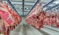El Gobierno extendió la quita temporal de retenciones a las carnes bovinas y avícolas
