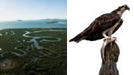 Convocan a 2do concurso de fotografía “Esto es Bahía Kino”