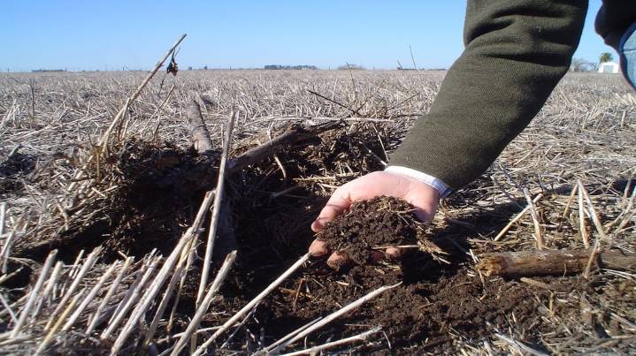 Alertan sobre un retroceso en el área agrícola que implementa la siembra directa