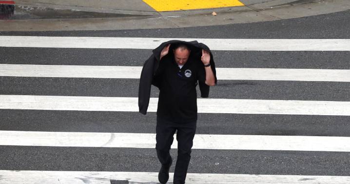 Rains are soaking Los Angeles for the first time in months. Is it enough to reduce wildfire risks?