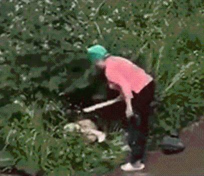 VIDEO: Anciana agarra a tablazos a pareja por hacer el delicioso en la vía pública