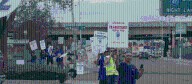 Creamland Dairy workers strike over pay and working conditions
