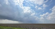 Partly cloudy tonight with rain chances increasing into Sunday