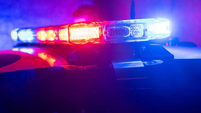Owner of The Dankery Social Club in Homestead facing narcotics charges