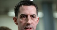 Exclusive: Sen. Tom Cotton Flags FBI on 'Dangerous' Activities of the Palestinian Youth Movement