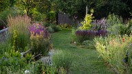 The Fast-Growing Perennial Grass Variety That Thrives In The Shade