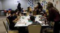 The coming red-state blue-state divide on vaccine requirements