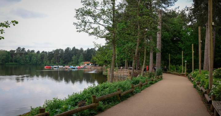 Center Parcs plans exciting Sherwood Forest change after visitors love new 'rollercoaster'