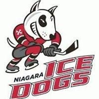Former IceDogs player killed in Wisconsin drive