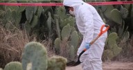 Persisten desapariciones sin esclarecer en Villa de Reyes