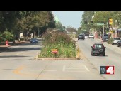 Neighborhood organizations considering alternatives for planters along South Grand due to expensi...