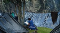 Reubicación y Retorno Embera: Bogotá Avanza en el Traslado y Acompañamiento Integral de Comunidades Indígenas